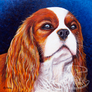 peinture cavalier king charles