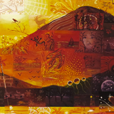 zoom sylvaine merlet