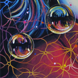 zoom sylvaine merlet