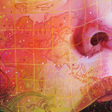 zoom sylvaine merlet