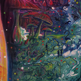 zoom sylvaine merlet