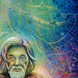 zoom sylvaine merlet