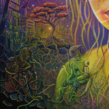 zoom sylvaine merlet