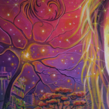 zoom sylvaine merlet