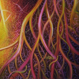 zoom sylvaine merlet