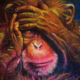 zoom sylvaine merlet