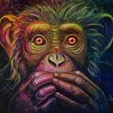 zoom sylvaine merlet