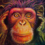 zoom sylvaine merlet